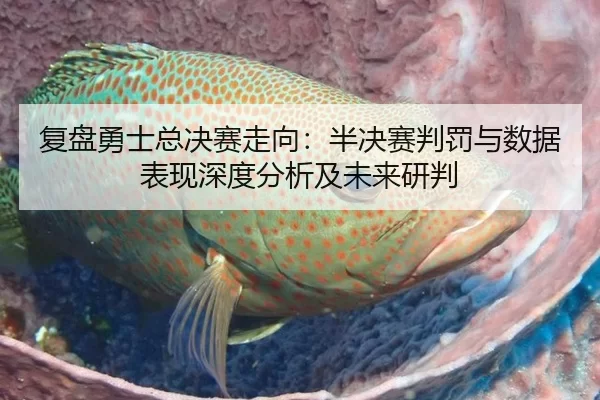 复盘勇士总决赛走向：半决赛判罚与数据表现深度分析及未来研判