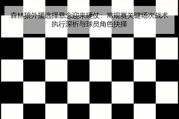 森林狼外援选择悬念迎来硬仗：常规赛关键场次战术执行深析与球员角色抉择
